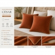 Lot de 2 Coussins Velours de Coton Terracotta 45 x 45 cm &ndash; D&eacute;houssables avec zip &ndash; C&Eacute;SAR, image n° 2