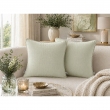 Lot de 2 coussins 45 x 45 cm gaze de coton Vert d'eau &ndash; D&eacute;houssables zip &ndash; Passepoil, image n° 1