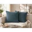 Lot de 2 coussins 45 x 45 cm gaze de coton Bleu canard &ndash; D&eacute;houssables zip &ndash; Passepoil, image n° 1
