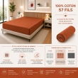Drap Housse 140 x 190 cm Paprika &ndash; 100% Coton 57 Fils/cm&sup2; &ndash; Bonnet 30 cm, image n° 2
