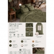 , image n° 2