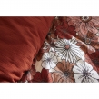 , image n° 4