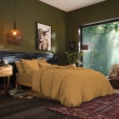 Housse de couette 1 place 140 x 200 cm &ndash; Coton 57 fils &ndash; Miel, image n° 4