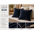 Lot de 2 Coussins Velours de Coton Minuit 45 x 45 cm &ndash; D&eacute;houssables avec zip &ndash; C&Eacute;SAR, image n° 2