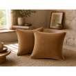 Lot de 2 Coussins Velours de Coton Camel 45 x 45 cm &ndash; D&eacute;houssables avec zip &ndash; C&Eacute;SAR, image n° 1