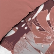Housse de couette 240 x 220 cm + 2 taies – Coton 42 fils – ASTRIA, image n° 3