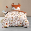 Housse de Couette Enfant 140 x 200 cm + 1 Taie – ROXY – 42 fils – Réversible avec Taie Tête de Renard, image n° 1