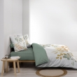 Pack Parure de lit 240 x 220 cm &ndash; Coton 42 fils &ndash; LOLITA + Drap Housse 140x190 cm Sauge, image n° 5