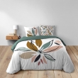 Parure de lit 3 pièces 240 x 220 cm – Coton 42 fils – OCTAVIA Cèdre, image n° 6