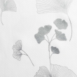 , image n° 4