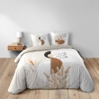 Housse de couette réversible NATACHA – 240x220 cm + 2 taies – Coton doux 42 fils, image n° 5