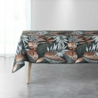 , image n° 4