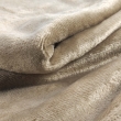 Plaid  ultra doux 180 x 220 cm – Flanelle Unie Flanou Taupe, image n° 2