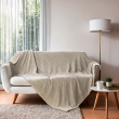 Plaid 180 x 220 cm en flanelle relief uni &ndash; Mod&egrave;le ARYA &ndash; Coloris Taupe, image n° 4