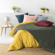 Parure de Lit 240 x 220 cm + 2 Taies – Microfibre Unie CLÉO Noir, image n° 4