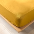 , image n° 1