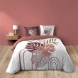 Housse de couette 240 x 220 cm + 2 taies – Coton 42 fils – ASTRIA, image n° 1