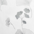 , image n° 4