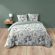 Pack Parure de couette VOLTINE 240 x 220 cm – Coton 42 fils – + Drap Housse 140x190 cm Sauge, image n° 2