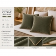Lot de 2 Coussins Velours de Coton Thym 45 x 45 cm &ndash; D&eacute;houssables avec zip &ndash; C&Eacute;SAR, image n° 2