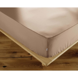 Drap-Housse 160 x 200 cm Percale de Coton 120 Fils Unie PERRINE &ndash; Ficelle
