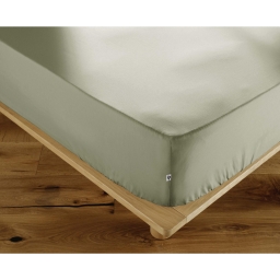 Drap-Housse 160 x 200 cm Percale de Coton 120 Fils Unie PERRINE &ndash; Sauge