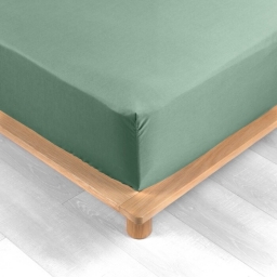 Drap housse queen size 160 x 200 cm bonnet 30 cm percale de coton 78 fils Tilleul