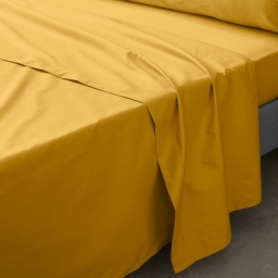 Drap plat 2 pers. 240 x 300 cm percale de coton 78 fils Curry