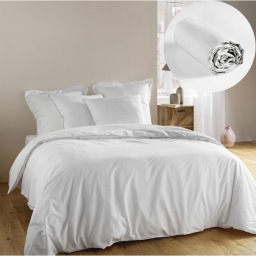 Élégance Pure - Ensemble housse de couette 260 x 240 cm Noémie + drap housse coton 57 fils