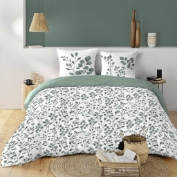 Housse de couette 240 x 220 coton naturel 57 fils MAIWEN Sauge + 2 taies