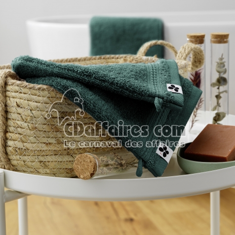 Lot de 2 gants de toilette 15 x 21 cm &ndash; &Eacute;ponge coton GARANCE Emeraude