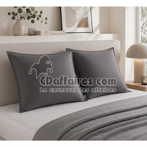 Lot de 2 Taies d&rsquo;oreiller 63 x 63 cm &ndash; Viscose de Satin de Bambou &ndash; Granit &ndash; SALOM&Eacute;