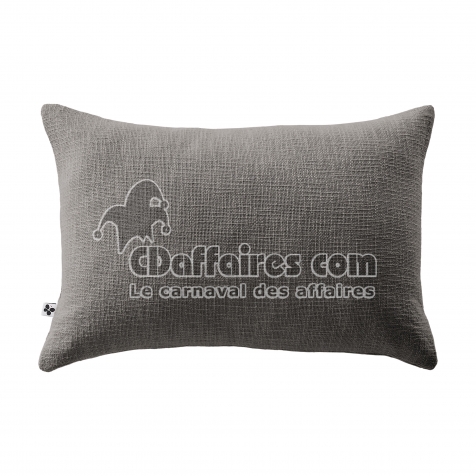 Coussin Déhoussable 40 x 60 cm - 100% coton Sixtine Ardoise