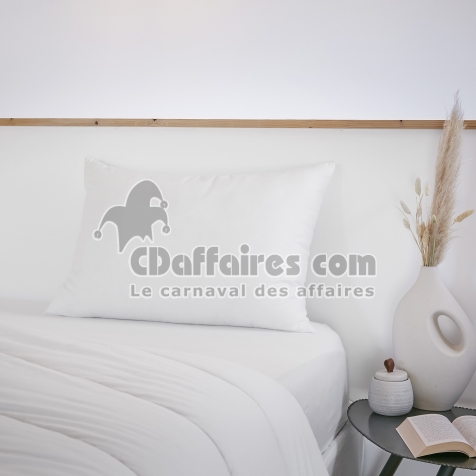 Oreiller coton anti acariens 50 x 70 cm Sirius Blanc