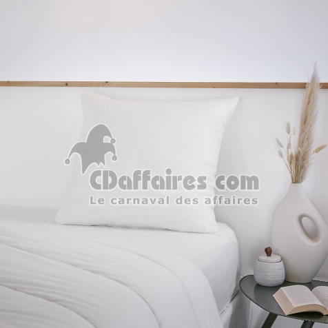 Oreiller coton anti acariens 60 x 60 cm sirius Blanc