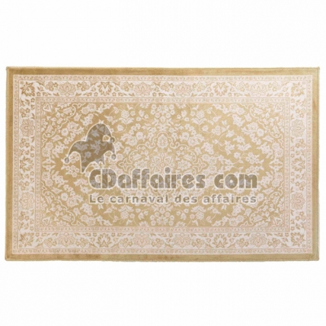 Tapis rectangle 68 x 110 cm viscose tissee irina Sans
