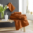 Drap de douche 70 x 130 cm &eacute;ponge unie tendresse Caramel, image n° 4
