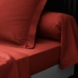 Drap housse queen size 160 x 200 cm bonnet 30 cm percale de coton 78 fils Tomette, image n° 3
