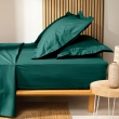 Drap housse Queen size 160 x 200 x 30 cm coton bio 57 fils Biolina Emeraude, image n° 2
