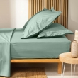 Drap housse Queen size 160 x 200 x 30 cm coton bio 57 fils Biolina Sauge, image n° 2
