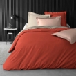 Housse de couette 2 personnes 260 x 240 cm percale de coton 78 fils Tomette, image n° 5