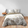 Housse de couette 240 x 220 cm coton 42 fils + 2 taies Bastille, image n° 3