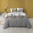 Housse de couette 240 x 220 cm coton 42 fils + 2 taies Catalia, image n° 1