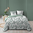 Housse de couette 240 x 220 cm coton 57 fils + 2 taies Eldorado, image n° 1