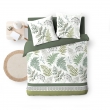 Housse de couette  240 x 220 cm double gaze coton 57 fils Verveine, image n° 4