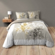 Housse de couette 260 x 240 cm coton 42 fils + 2 taies Enora, image n° 1