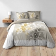 Housse de couette 260 x 240 cm coton 42 fils + 2 taies Enora, image n° 3