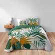 Housse de couette 260 x 240 cm coton 42 fils + 2 taies Florida, image n° 3