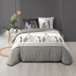 Housse de couette 260 x 240 cm coton 57 fils + 2 taies Cyliane, image n° 1