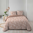 Housse de couette 260 x 240 cm coton 57 fils MORGANE Mocha + 2 taies, image n° 5